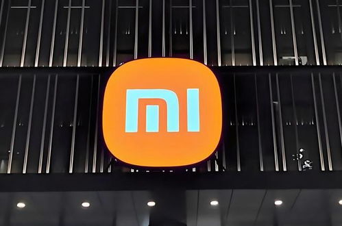 小米汽車上市首日退改訂單達(dá)469例 背后問題探析與武漢企業(yè)網(wǎng)站建設(shè)的啟示